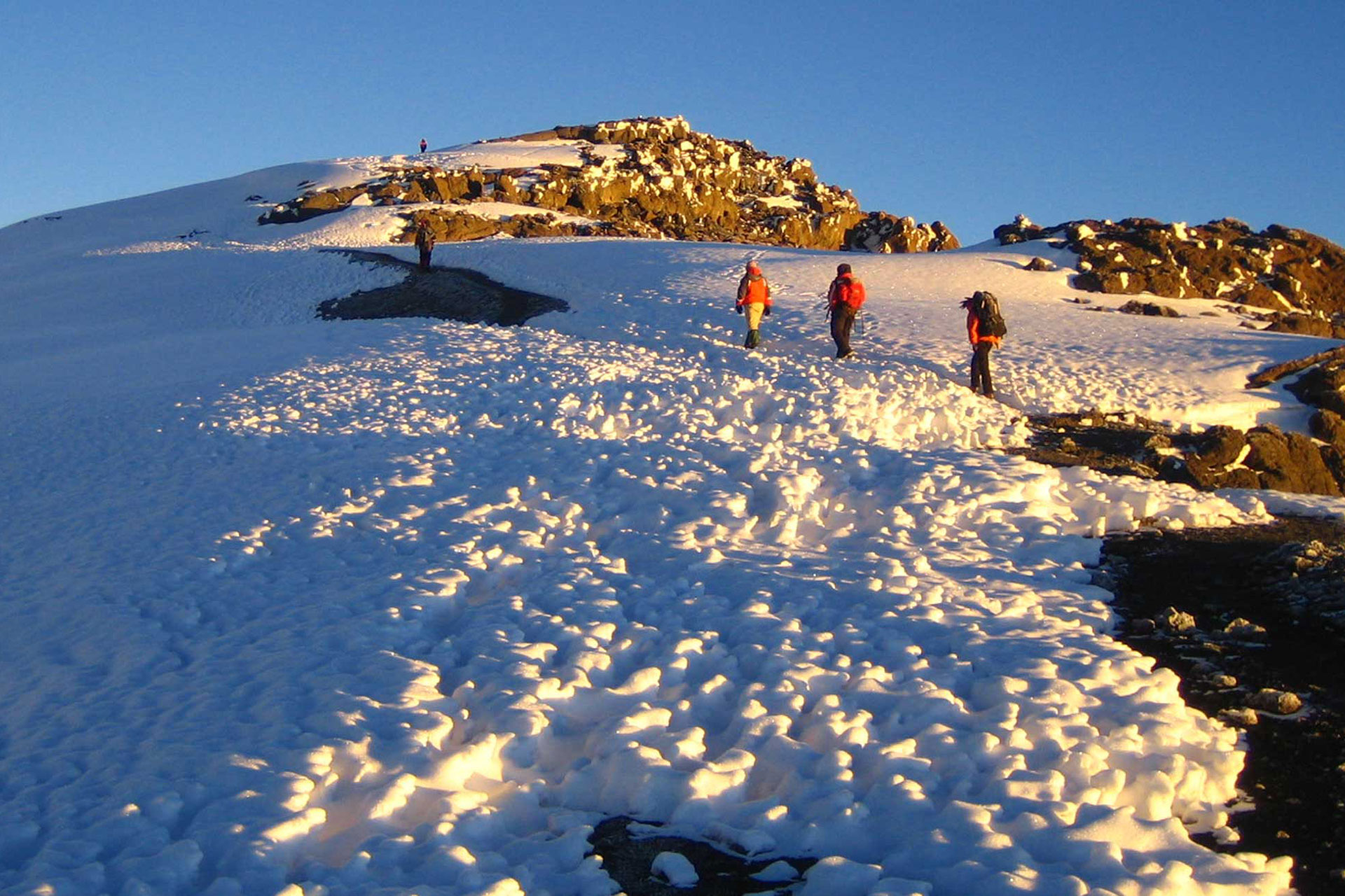kilimanjaro shira route