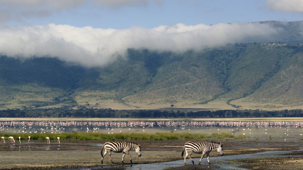 Ngorongoro conservation area Mbassa adventure