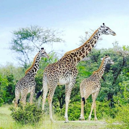 12 Days Rwanda Adventure Safari experience