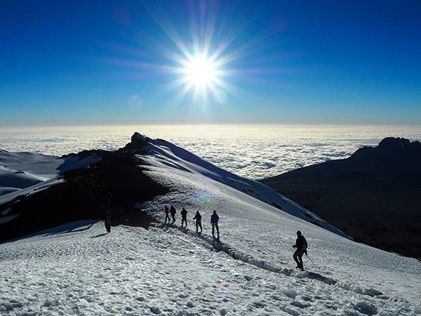Group of Hikers at Kilimanjaro National Park